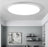 Ceiling Light Fixture for Bedroom and Living Room