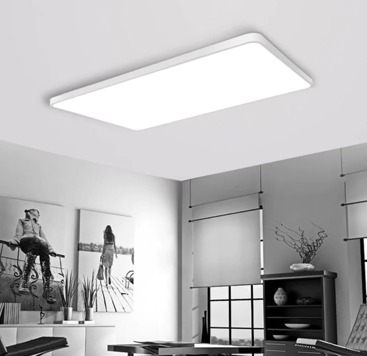 Ceiling Light Fixture for Bedroom and Living Room