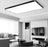 Ceiling Light Fixture for Bedroom and Living Room